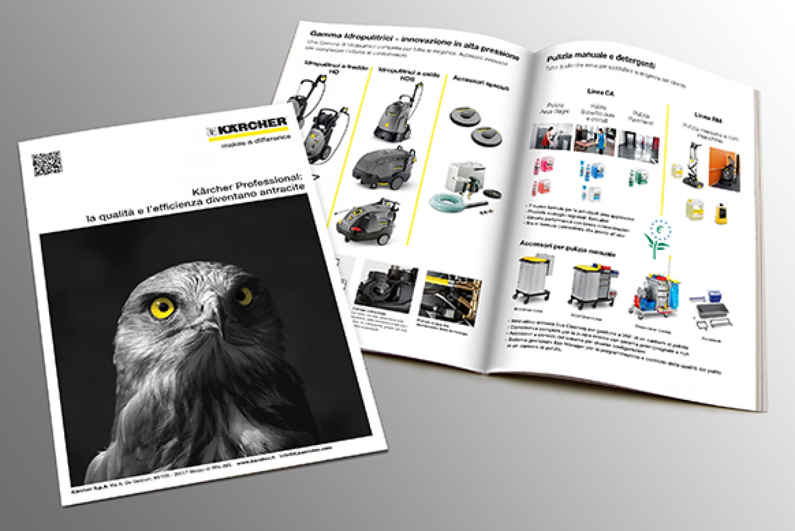 Catalogo Catalogo